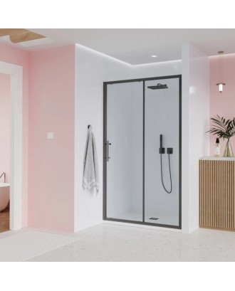 E1-GR-140-01-C9 Душевая дверь Evo  GR