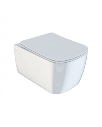 BRIDGE BRIRDSEi25 Унитаз подвесной безободковый с сиденьем дюропласт / микролифт "IDDIS"