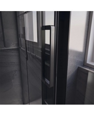 PTD40-B-150-01-C4 Душевая дверь Premium Trento  "VECONI"