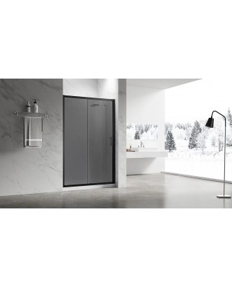 VN55BT-120-05-C8 Душевая дверь Veconi