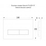 FLV1-B Смывная кнопка 240х162х9 (чёрный матовый) VECONI